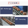 Large Scale Egg Yolk Egg White Separator